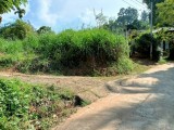 21 Perch Land at Uda Aludeniya, Waligalla