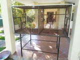 Bird cage for urgent sale