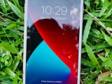 Apple iPhone 8 Plus Gold 64GB (Used)