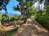 Flat Land For Sale - Kandy | Peradeniya