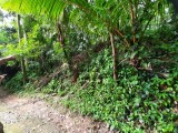 Land For Sale - Kandy | Peradeniya
