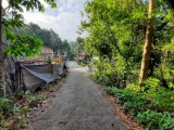 Land For Sale - Pilimathalawa | Danthure