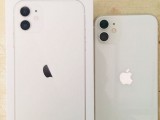 Apple Other Model Iphone 11 (Used)