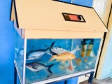 Fish tank