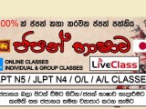Japanese language N-5,N-4,O/L,A/L,spoken online/group class