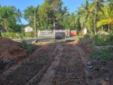 Land