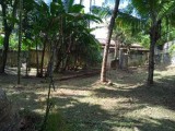 විකුණන ඉඩම