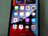 Apple Other Model 13 Pro Max graphite 256 GB (Used)