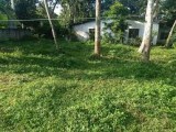 Land For Rent