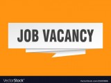 Part Time or Full Time Job