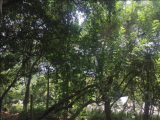 Land For Sale In Heerassagala