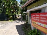 Bare Land For Sale