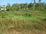 Flat land
