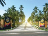 නිට්ටඹුවෙන් වටිනා ඉඩමක්