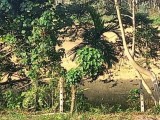 Land for sale in Homagama