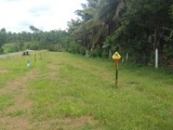Land for Sale in Kahathuduwa
