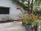 House for rent Ganemulla