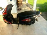Honda Dio 2019 (New)