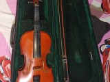 Violin
