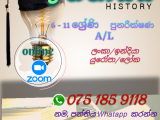 Online History classes for 6 - 11 and A/L