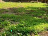 Sale of prime land (18.5) at Digana-Kundasale-Naththaranpotha Town for highest offer