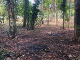 Land For Sale In Tissamaharama…!