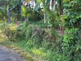 Land for sales  in Homagama
