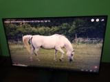 Dell P2419 H 23.8