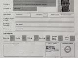 Online IELTS Instructor