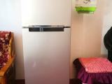 Samsung Refrigerator 253L (Inverter RT-28K)