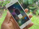 Apple iPhone 8 64GB | GOLD (Used)