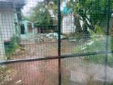 Land for sale kalubowilla