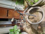 Mountain Bicycle