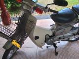Honda Super Club 2001 (Used)