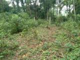 Land Sale in Horana Millewa
