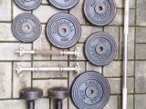 Gym Equipment / Weights