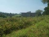 Land for sale radawana