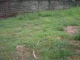 Land for Sale in Anuradhapura , Jaffna Road