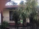 Small house for rent