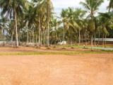 Land for sale padukka