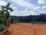 Land For Sale Weweldeniya