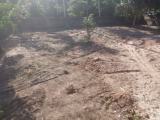 Land for sale in kadirana