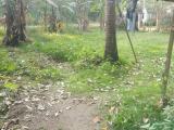 සින්නක්කර ඔප්පු සහිත ඉඩමක්