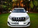 rent a car-toyota prado tx manual