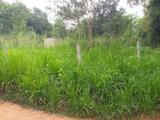 Land Sale