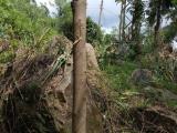 Land for Sale Near to Colombo Kandy Main Road