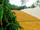 Valuable Lands Plots for sale in Hadigama