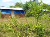 Land for emergency sale