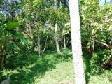 land for sale in Yakkala (in kirindiwela road)