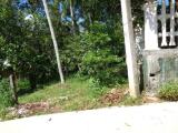 land for sale in Yakkala (in kirindiwela road)